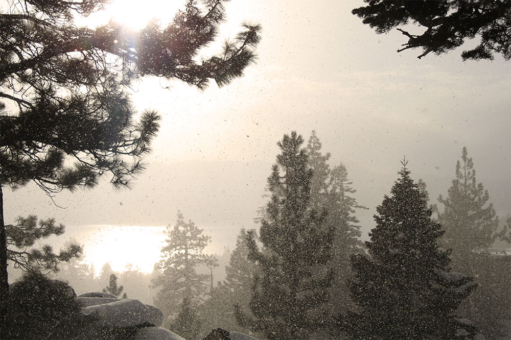 snowing over lake tahoe by © Crystal Ricotta
