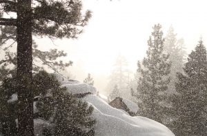 winter snow trees lake tahoe