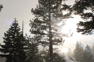 winter lake tahoe climate change
