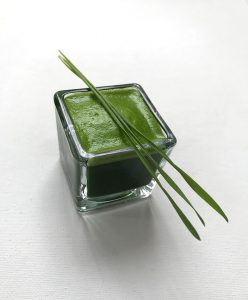 wheagrass juice make your own